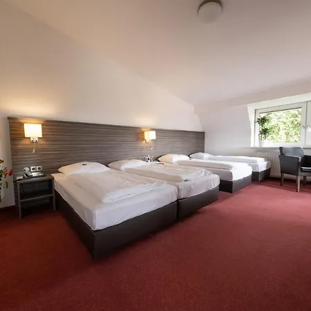 Baer זינסהיים