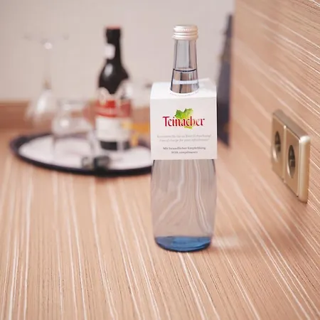 灰熊酒店 辛斯海姆