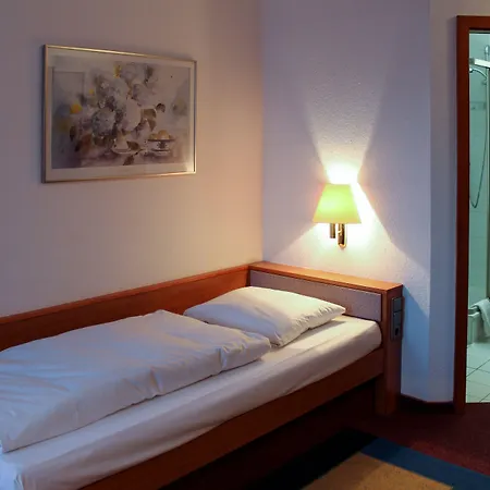 Baer 3* זינסהיים