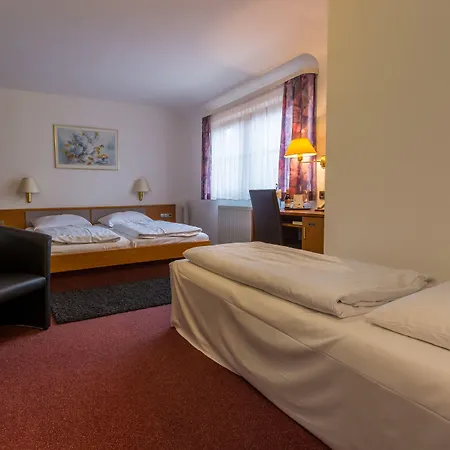 Otel Baer Sinsheim