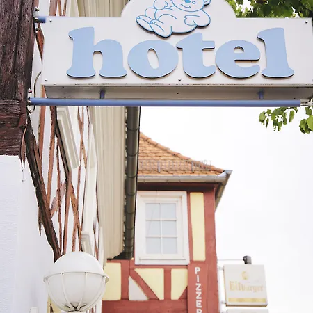 Otel Baer 3*